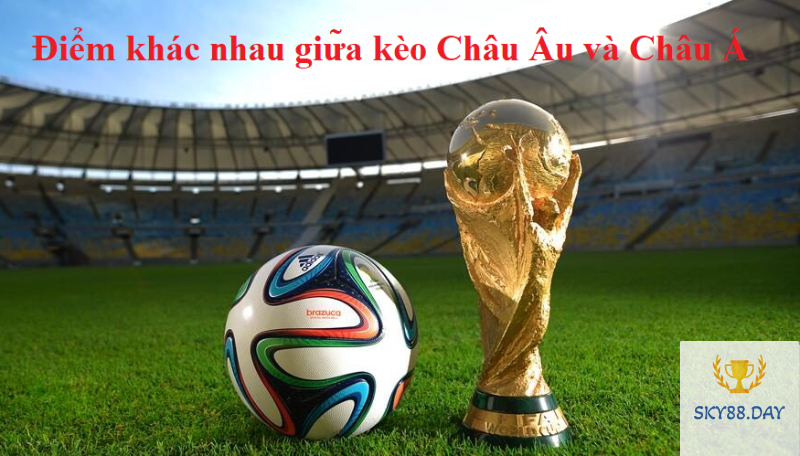 Sự khác nhau giữa kèo bóng đá châu Âu, châu Á